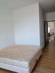 Leith Park (D19), Terrace #564218611